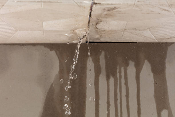 Professional Structural Drying technician working in Hackleburg, AL